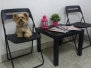 Salon Petit